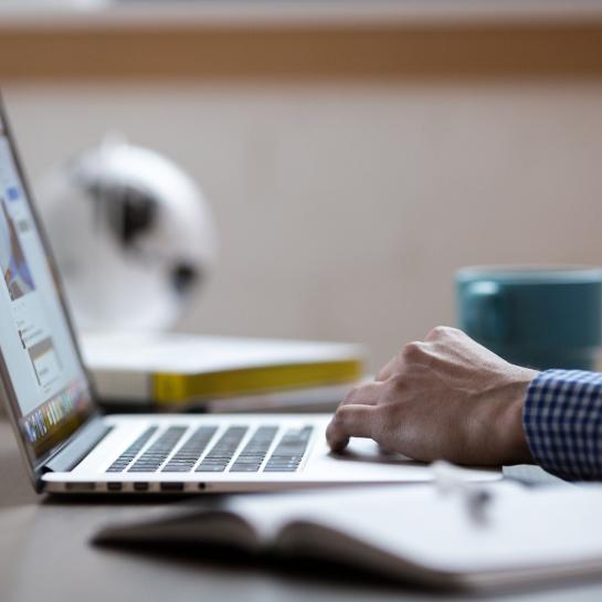 Research Consultant