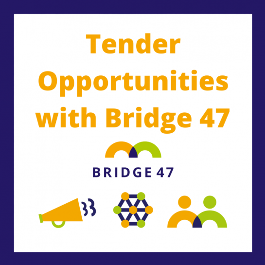 White background with purple border. Title text 'Tender Opportunities with Bridge 47' in orange. Bridge 47 icons featured below. 