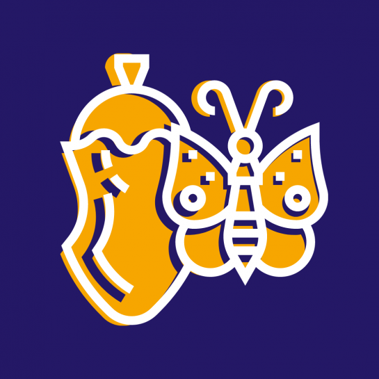 Purple background with animation of a butterfly
