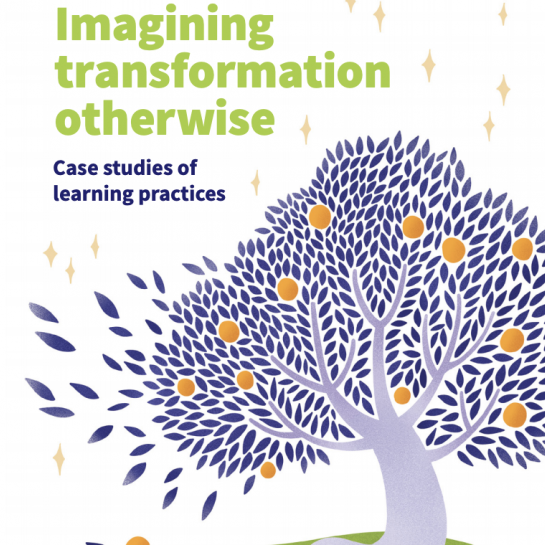 imagining transformation othewise